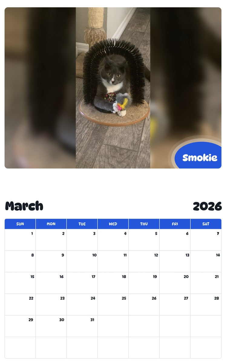 November 2025 - October 2026 Smokie - Pawidols Pet Calendar