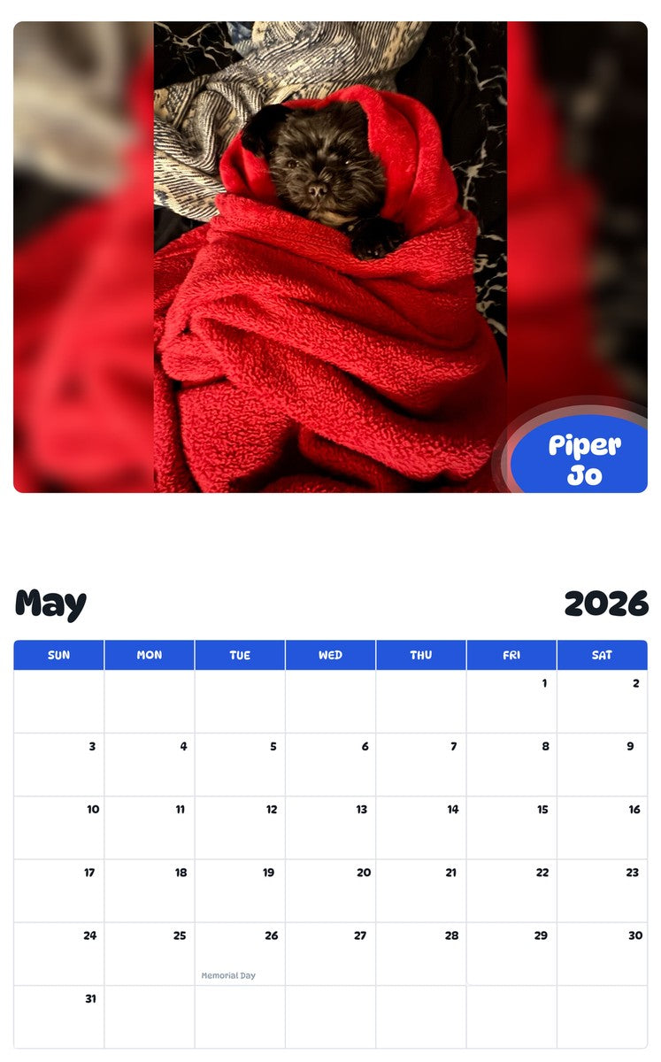 2026 - 2027 Piper Jo - Pawidols Pet Calendar