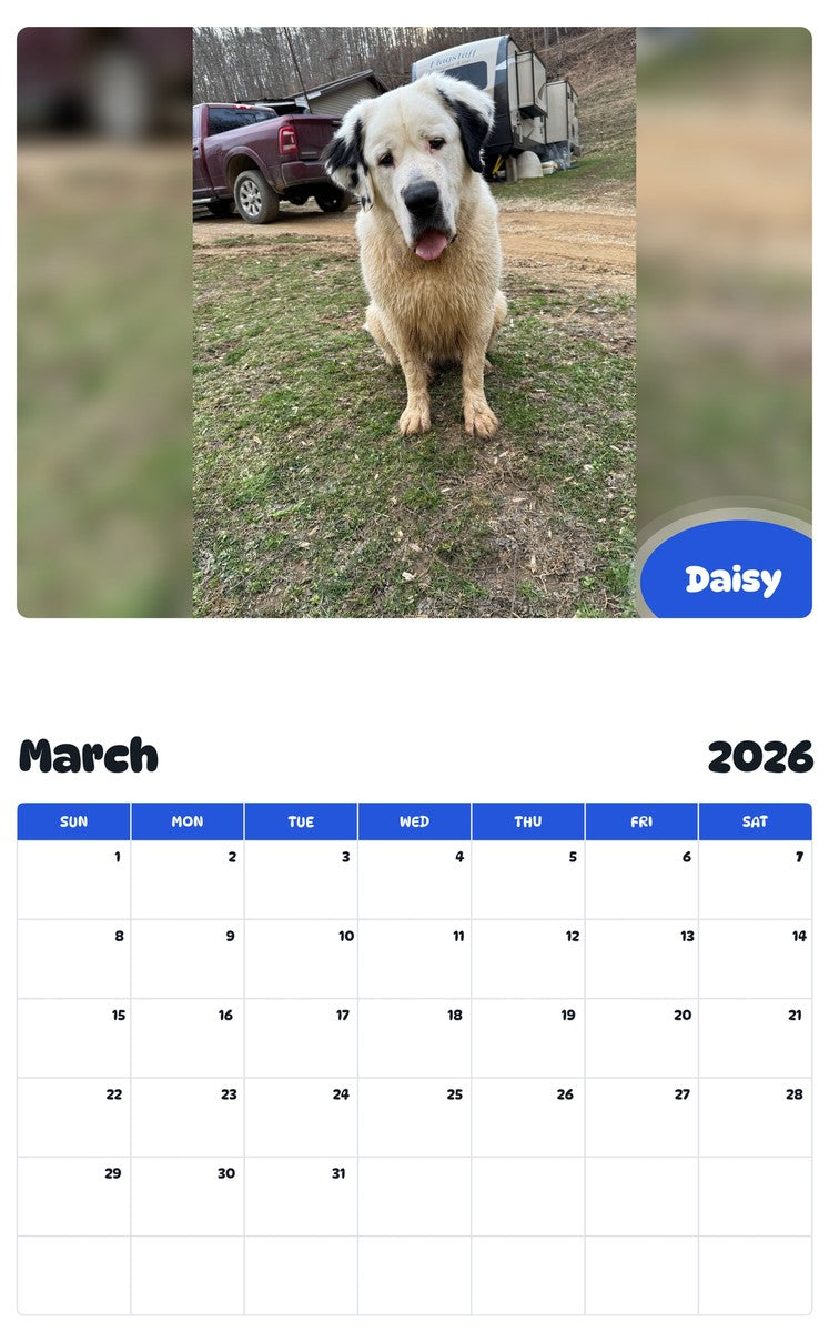 November 2025 - October 2026 Daisy - Pawidols Pet Calendar