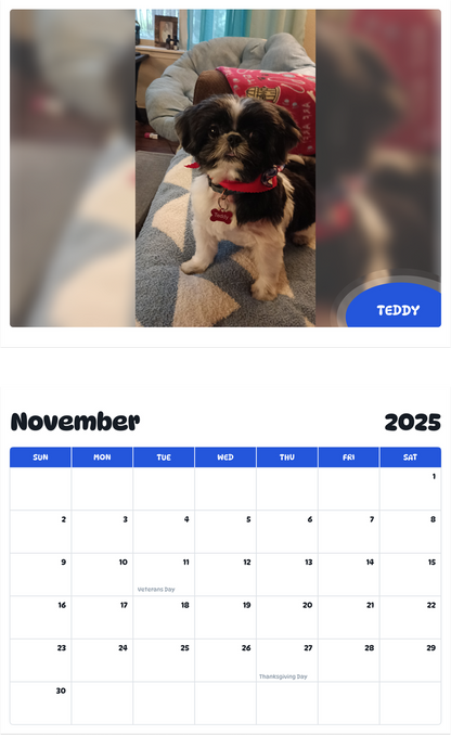 July 2025 - June 2026 Teddy - Pawidols Pet Calendar