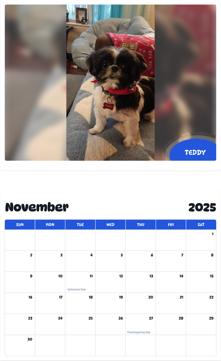 July 2025 - June 2026 Teddy - Pawidols Pet Calendar