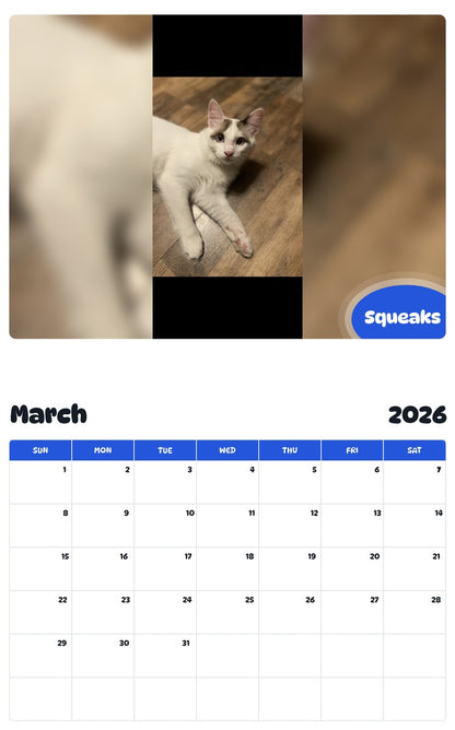 November 2025 - October 2026 Squeaks - Pawidols Pet Calendar