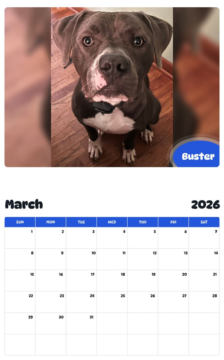 November 2025 - October 2026 Buster - Pawidols Pet Calendar