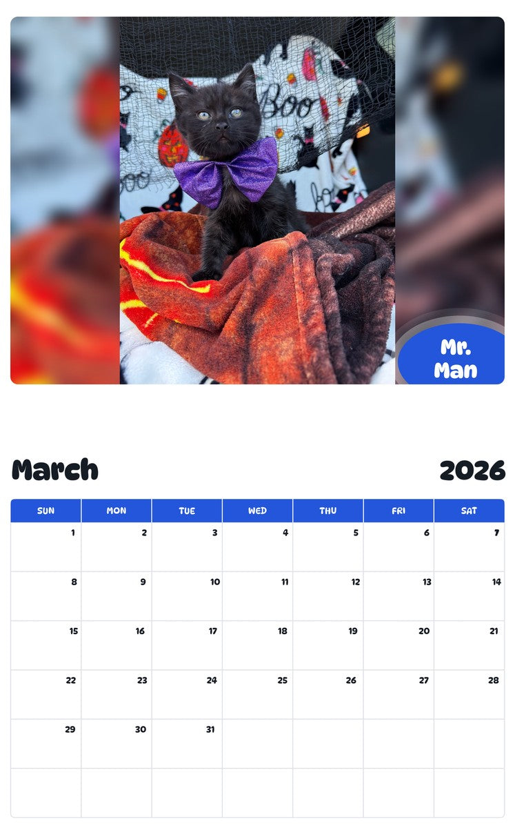 November 2025 - October 2026 Mr. Man - Pawidols Pet Calendar