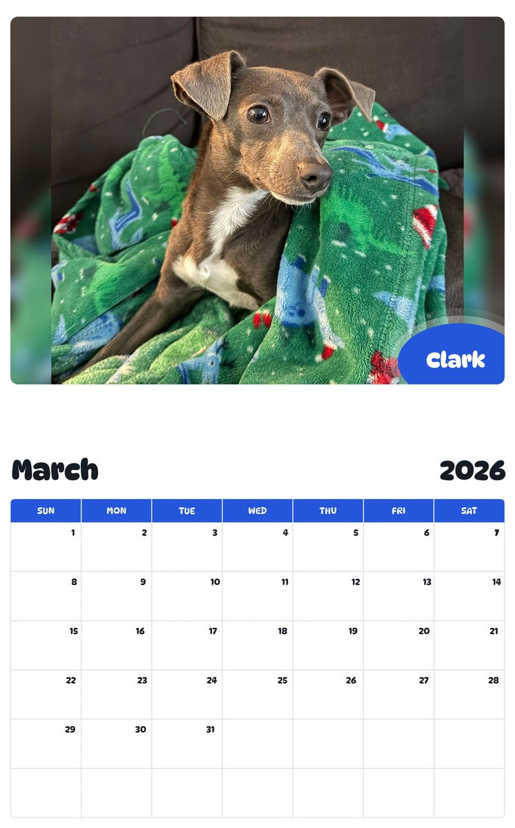 November 2025 - October 2026 Clark - Pawidols Pet Calendar