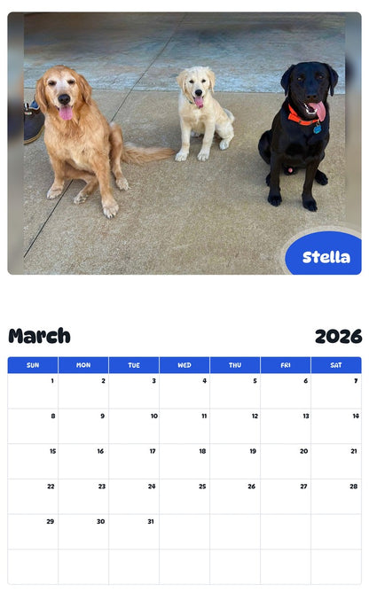 November 2025 - October 2026 Stella - Pawidols Pet Calendar