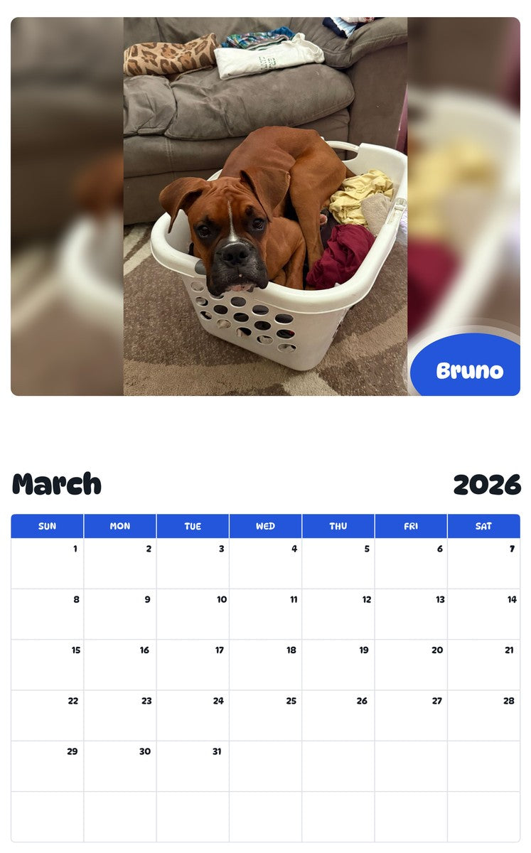 November 2025 - October 2026 Bruno - Pawidols Pet Calendar