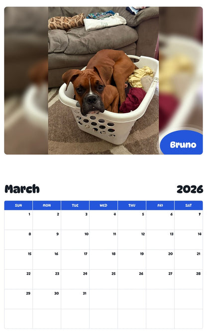 November 2025 - October 2026 Bruno - Pawidols Pet Calendar