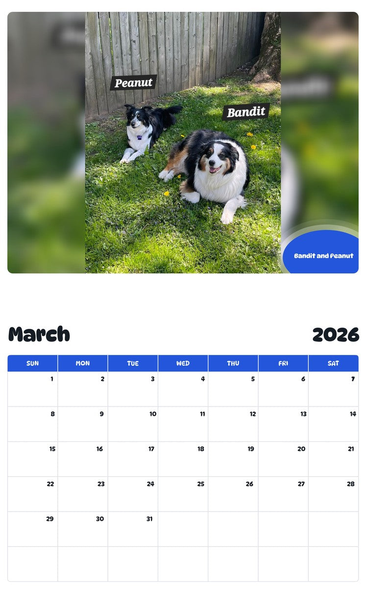 November 2025 - October 2026 Bandit and Peanut - Pawidols Pet Calendar