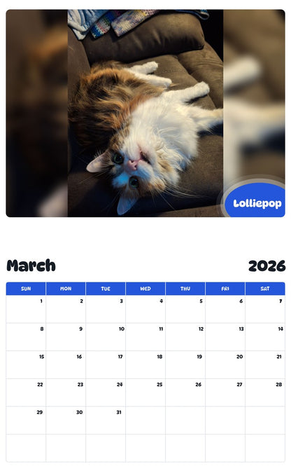 November 2025 - October 2026 Lolliepop - Pawidols Pet Calendar