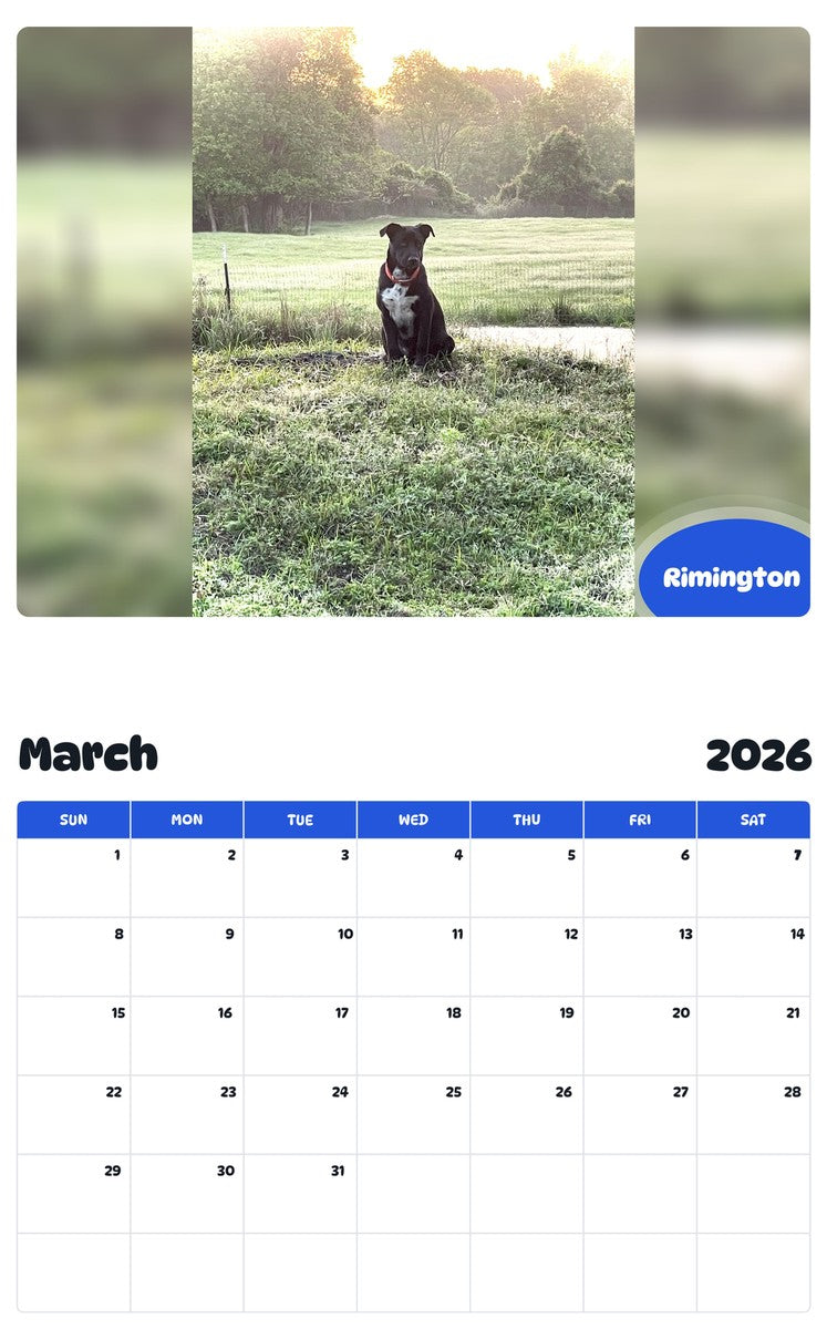 November 2025 - October 2026 Rimington - Pawidols Pet Calendar
