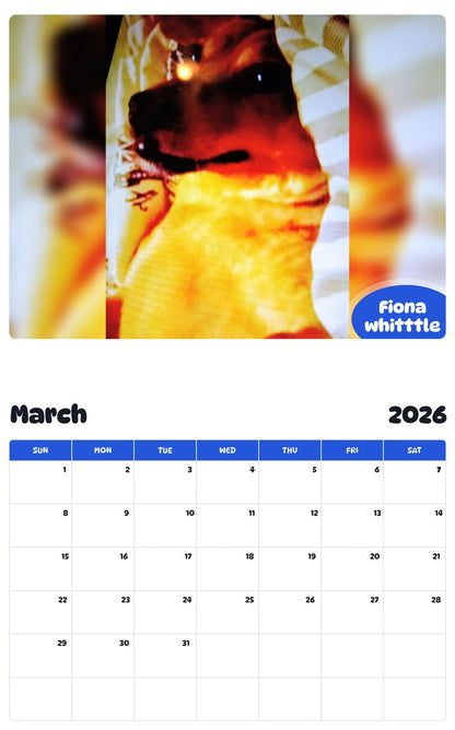 November 2025 - October 2026 Fiona whitttle - Pawidols Pet Calendar