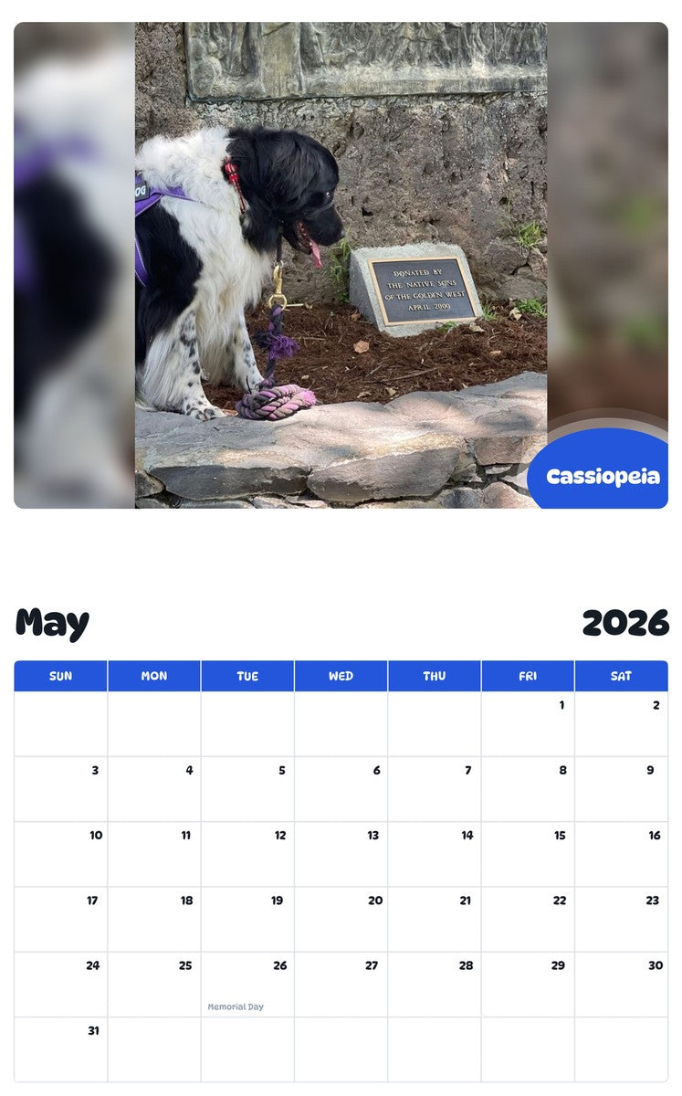2026 - 2027 Cassiopeia - Pawidols Pet Calendar