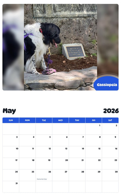 2026 - 2027 Cassiopeia - Pawidols Pet Calendar