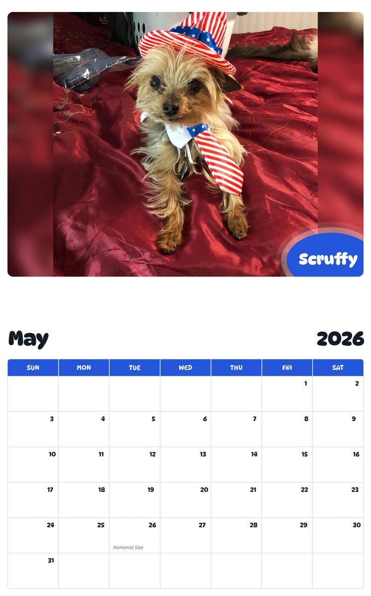 2026 - 2027 Scruffy - Pawidols Pet Calendar