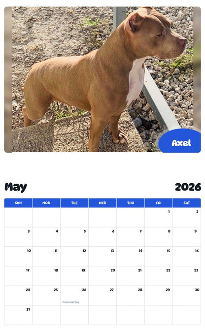 2026 - 2027 Axel - Pawidols Pet Calendar