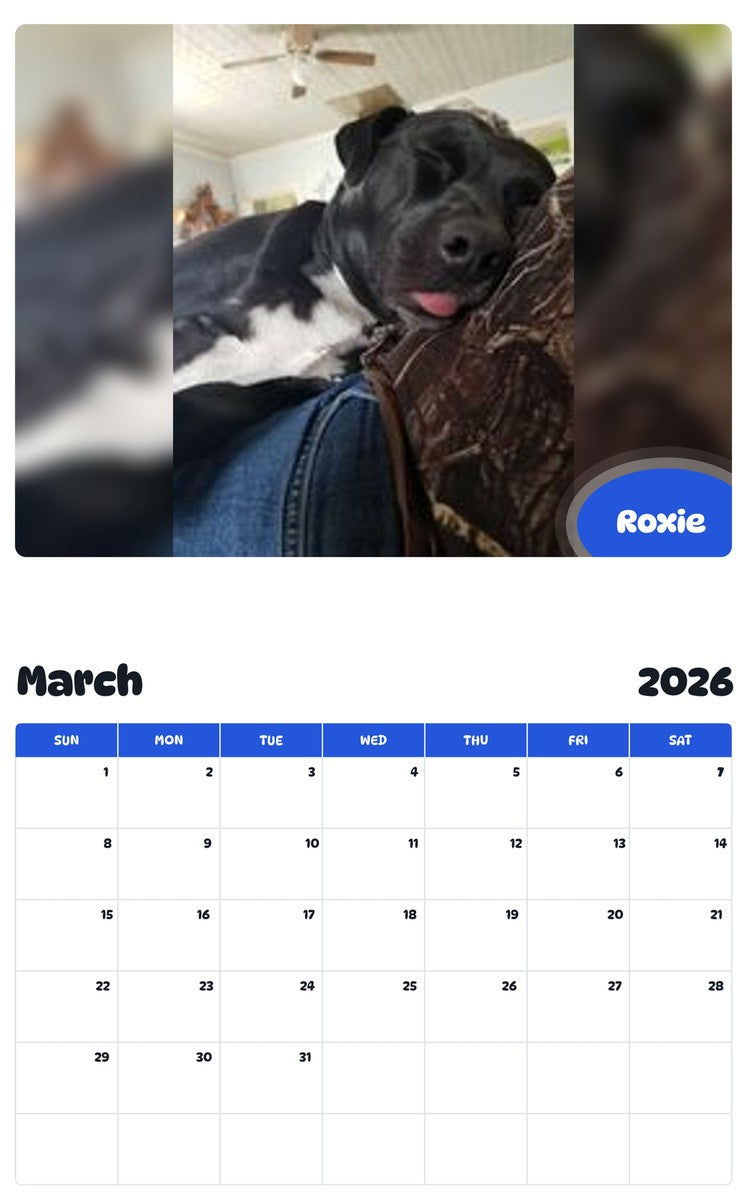 November 2025 - October 2026 Roxie - Pawidols Pet Calendar
