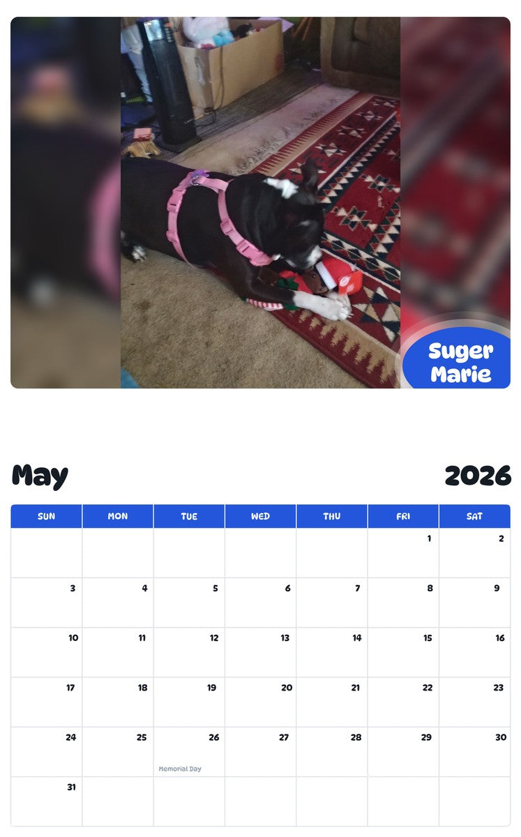 2026 - 2027 Suger Marie - Pawidols Pet Calendar