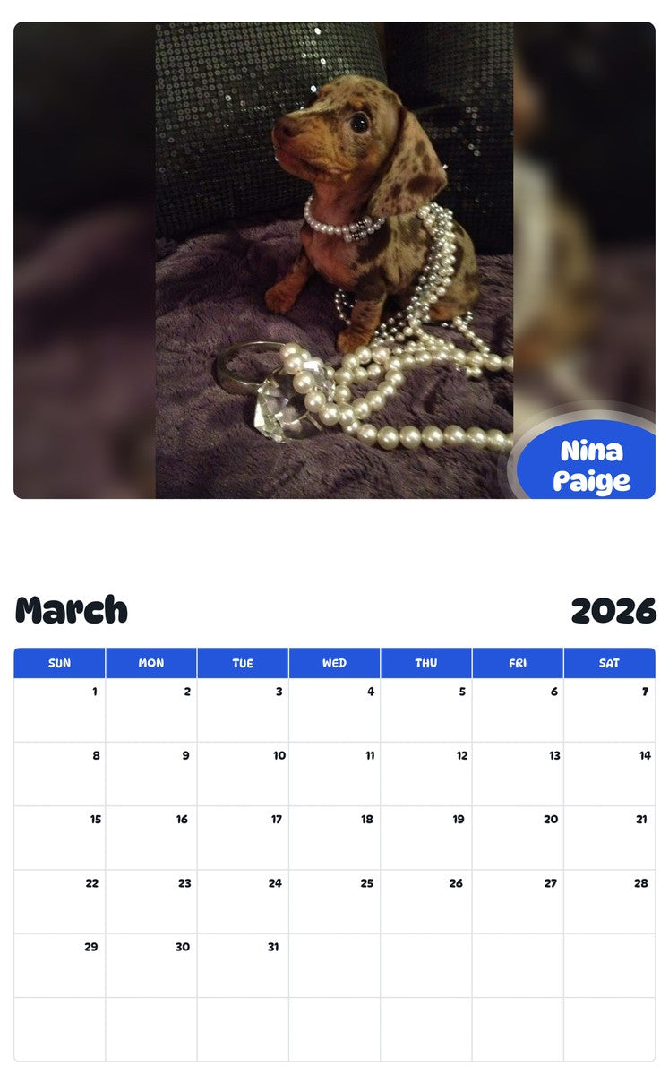 November 2025 - October 2026 Nina Paige - Pawidols Pet Calendar