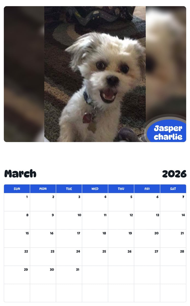 November 2025 - October 2026 Jasper charlie - Pawidols Pet Calendar