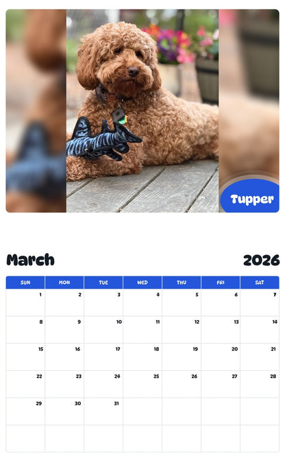 November 2025 - October 2026 Tupper - Pawidols Pet Calendar