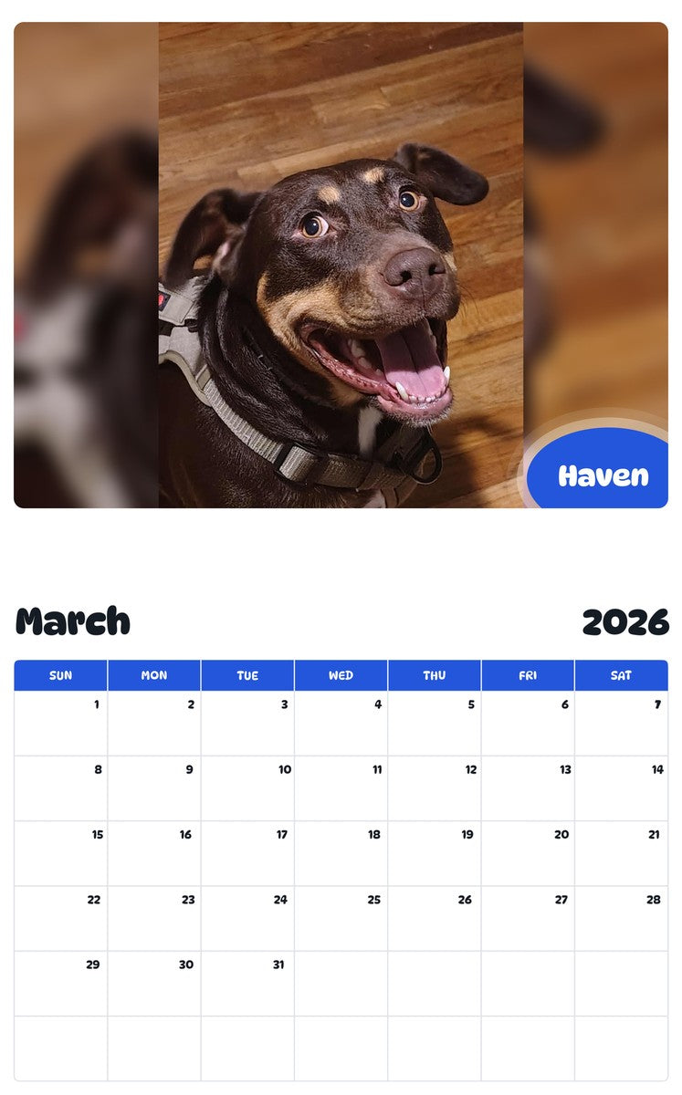 November 2025 - October 2026 Haven - Pawidols Pet Calendar