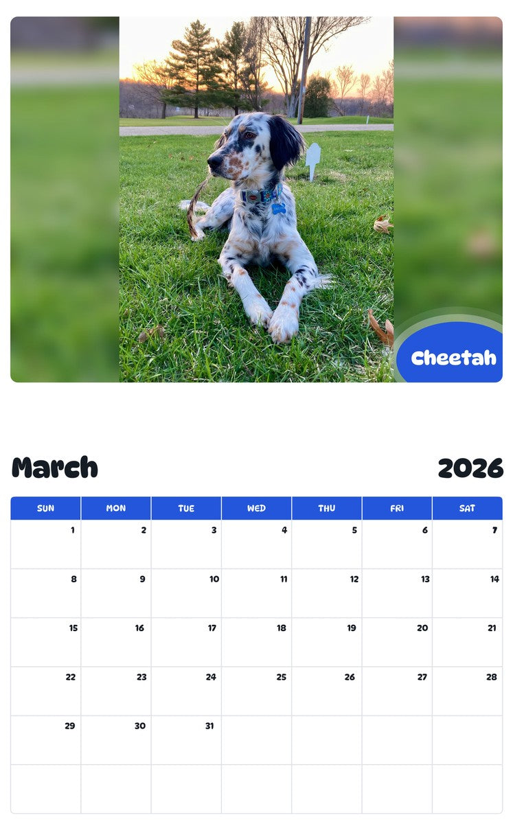 November 2025 - October 2026 Cheetah - Pawidols Pet Calendar