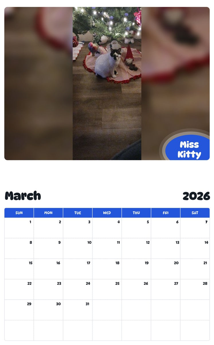November 2025 - October 2026 Miss Kitty - Pawidols Pet Calendar