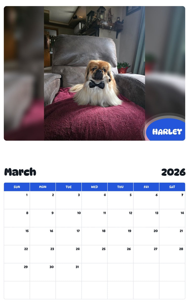 November 2025 - October 2026 HARLEY - Pawidols Pet Calendar