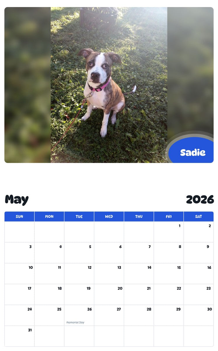2026 - 2027 Sadie - Pawidols Pet Calendar