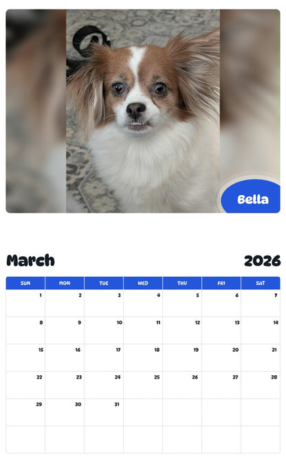 November 2025 - October 2026 Bella - Pawidols Pet Calendar