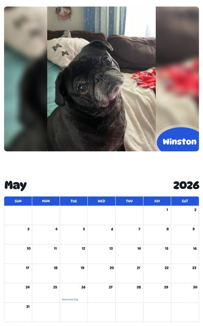 2026 - 2027 Winston - Pawidols Pet Calendar