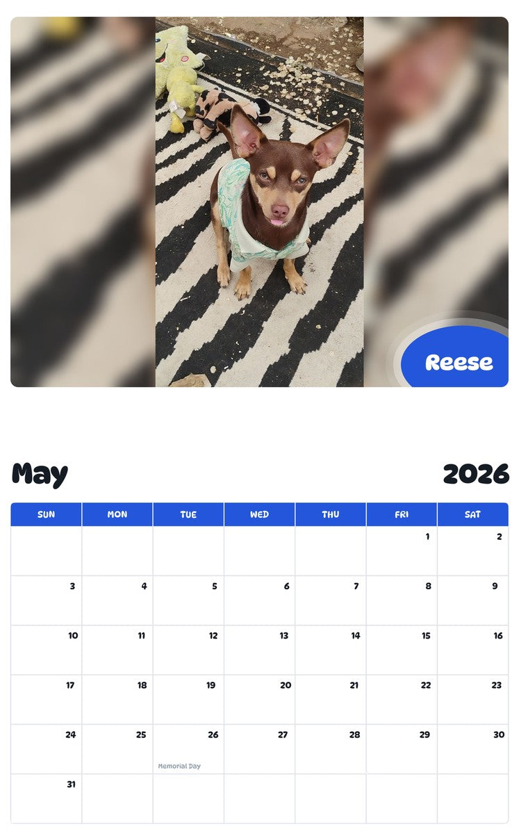 2026 - 2027 Reese - Pawidols Pet Calendar