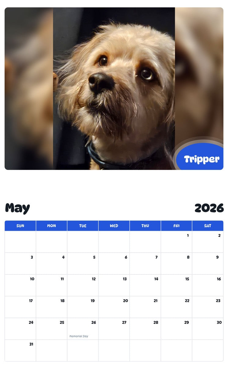 2026 - 2027 Tripper - Pawidols Pet Calendar