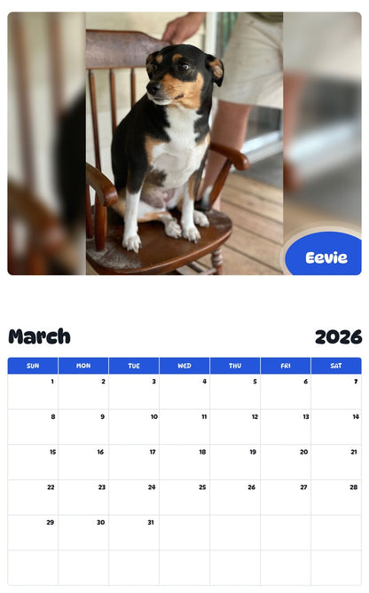 November 2025 - October 2026 Eevie - Pawidols Pet Calendar