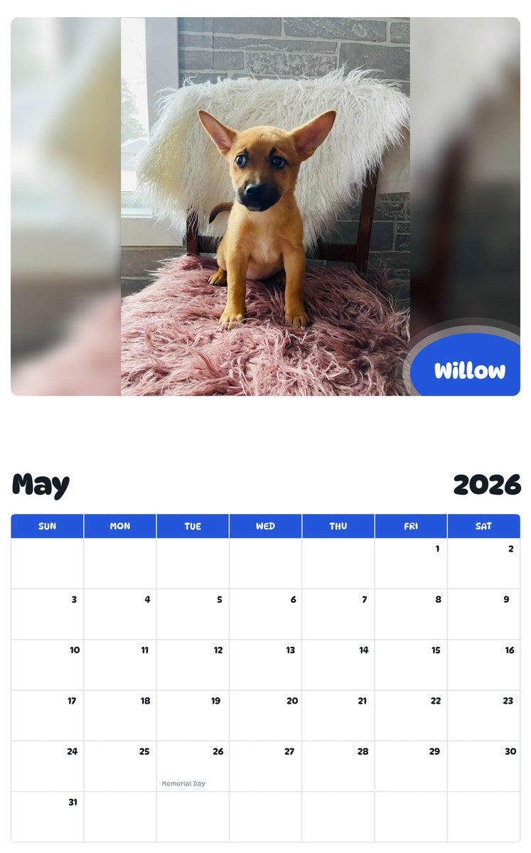 2026 - 2027 Willow - Pawidols Pet Calendar
