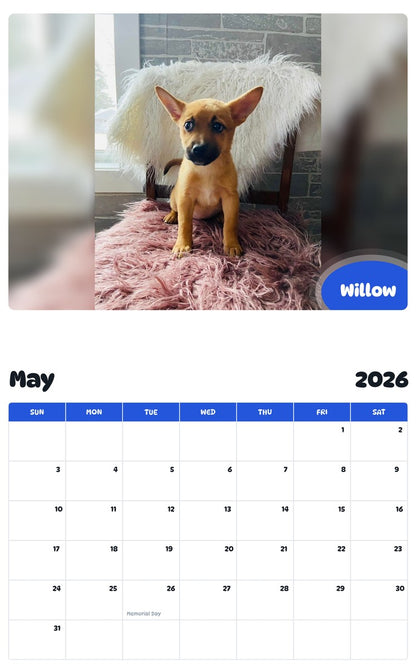 2026 - 2027 Willow - Pawidols Pet Calendar