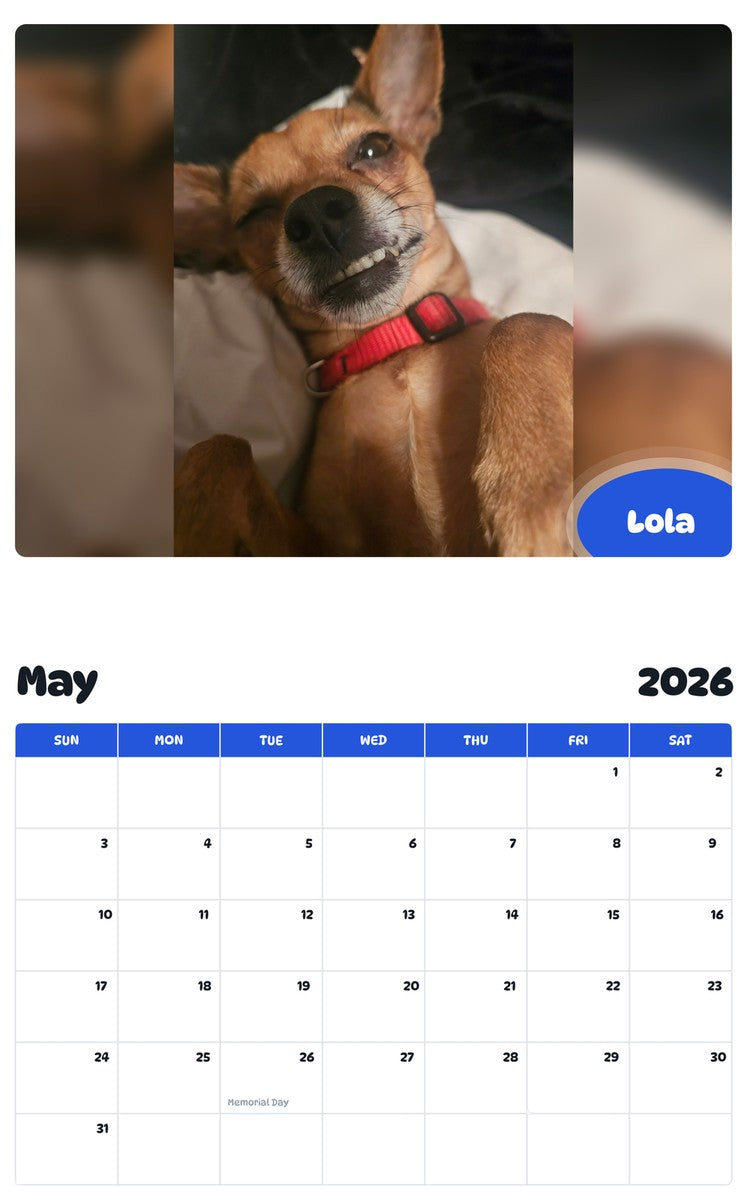 2026 - 2027 Lola - Pawidols Pet Calendar