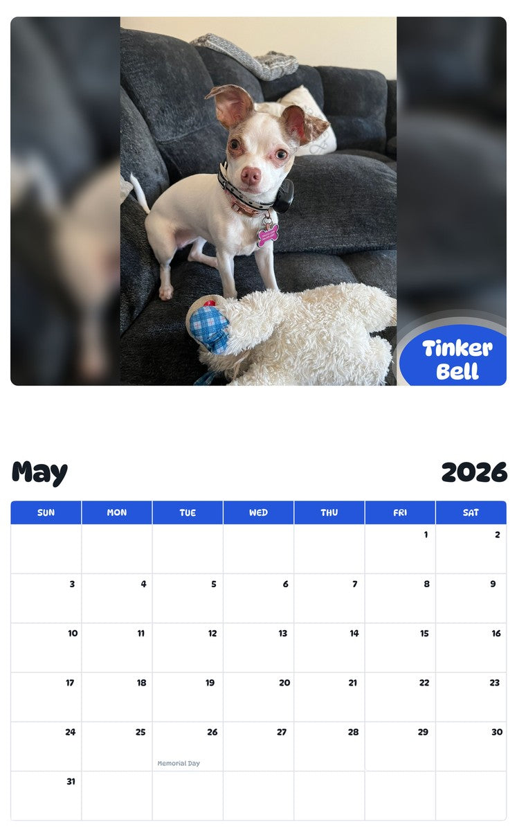 2026 - 2027 Tinker Bell - Pawidols Pet Calendar