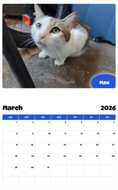November 2025 - October 2026 Max - Pawidols Pet Calendar