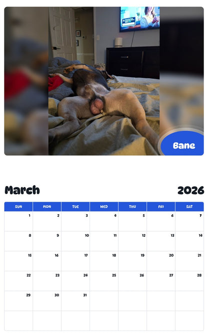 November 2025 - October 2026 Bane - Pawidols Pet Calendar