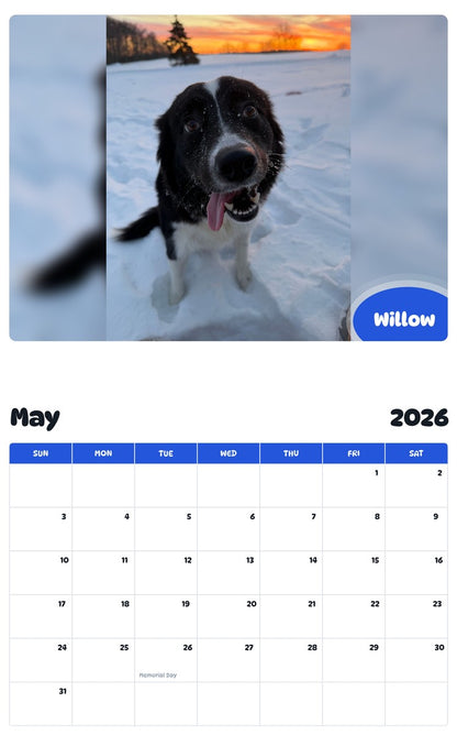 2026 - 2027 Willow - Pawidols Pet Calendar
