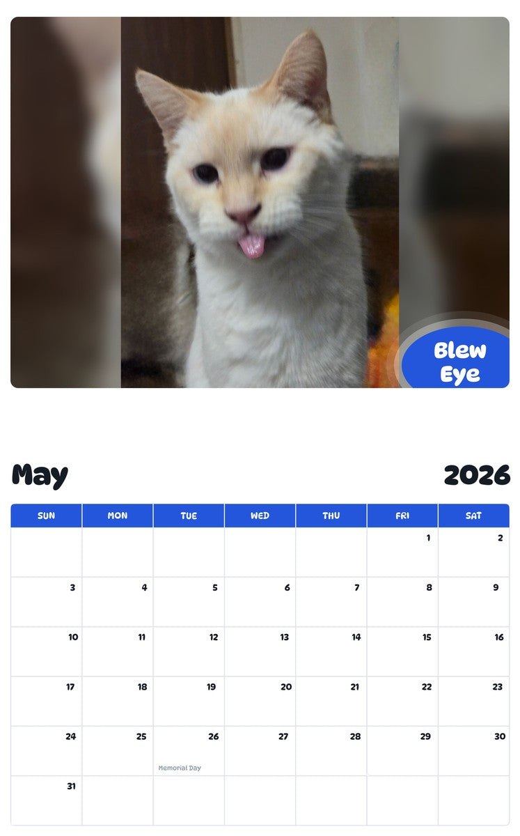 2026 - 2027 Blew Eye - Pawidols Pet Calendar
