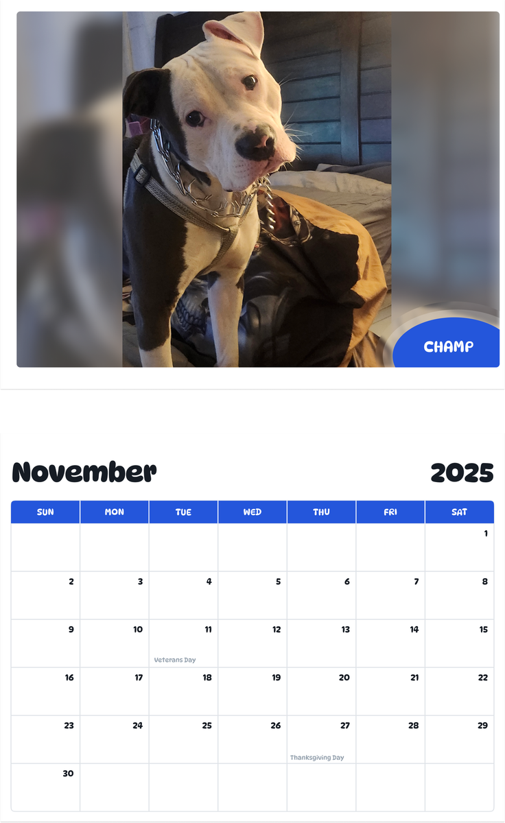 July 2025 - June 2026 Champ - Pawidols Pet Calendar