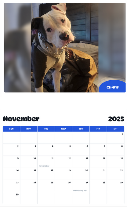 July 2025 - June 2026 Champ - Pawidols Pet Calendar