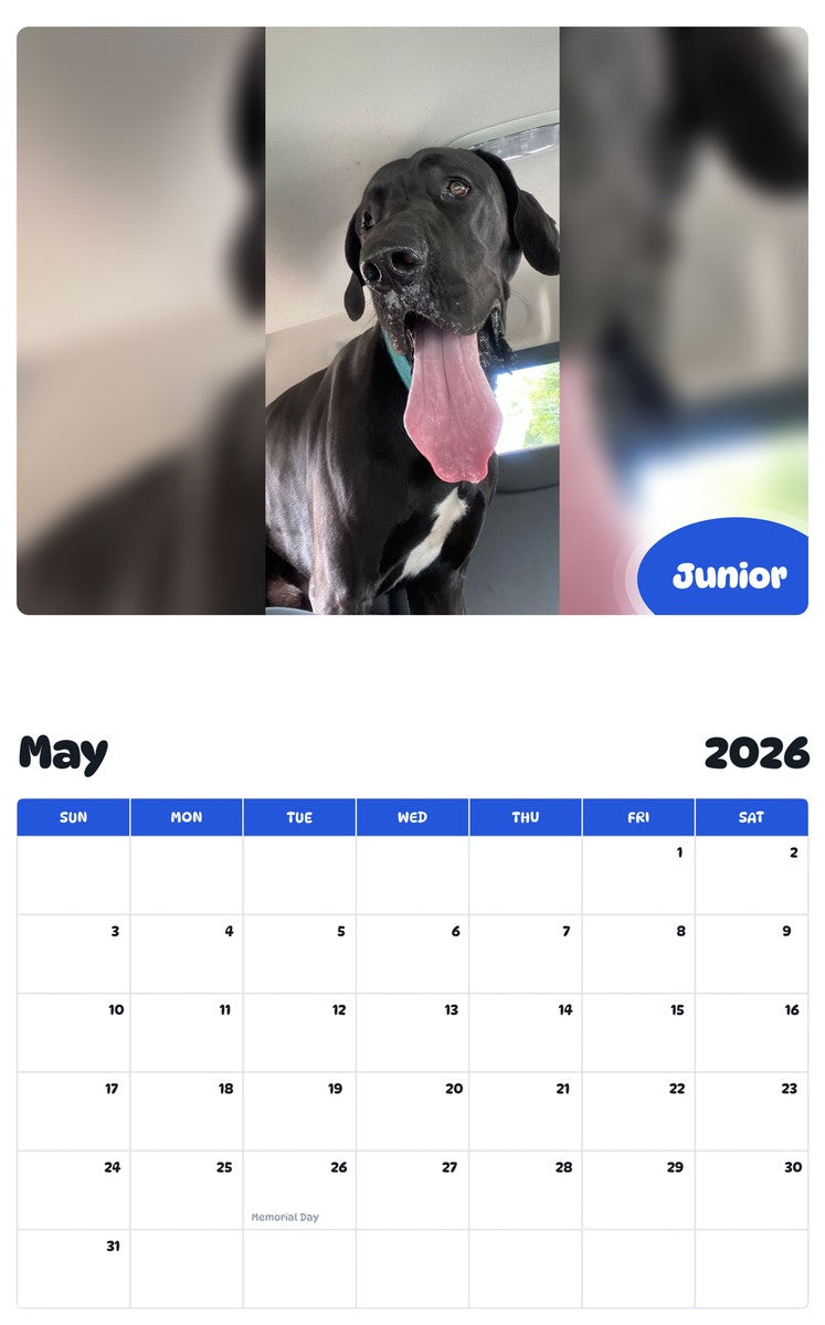 2026 - 2027 Junior - Pawidols Pet Calendar