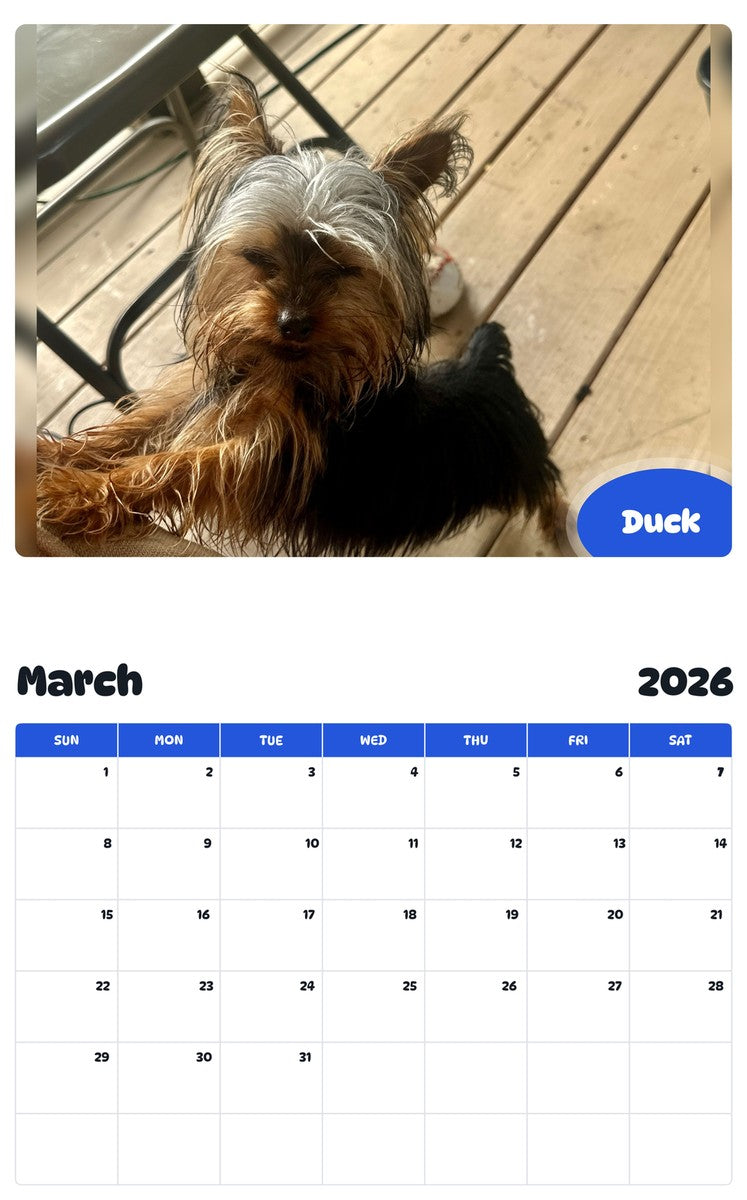 November 2025 - October 2026 Duck - Pawidols Pet Calendar