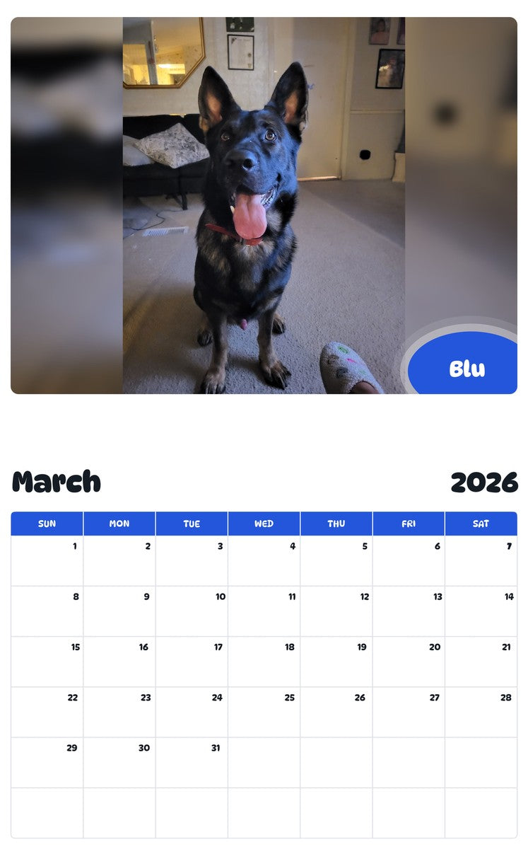November 2025 - October 2026 Blu - Pawidols Pet Calendar