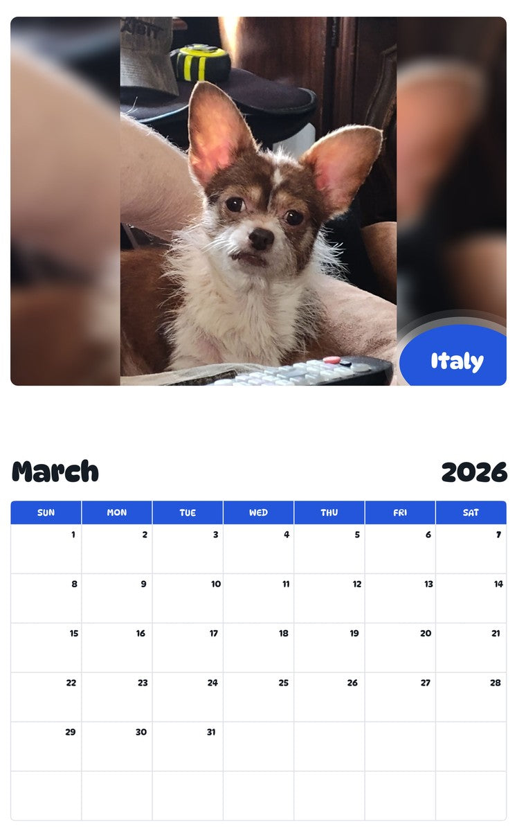 November 2025 - October 2026 Italy - Pawidols Pet Calendar