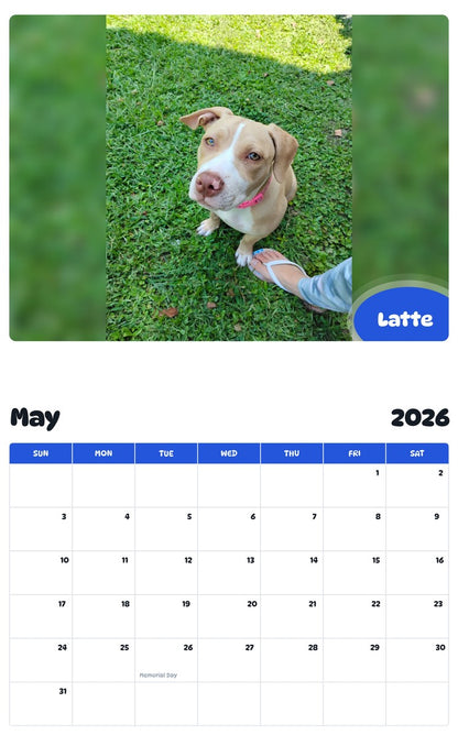 2026 - 2027 Latte - Pawidols Pet Calendar